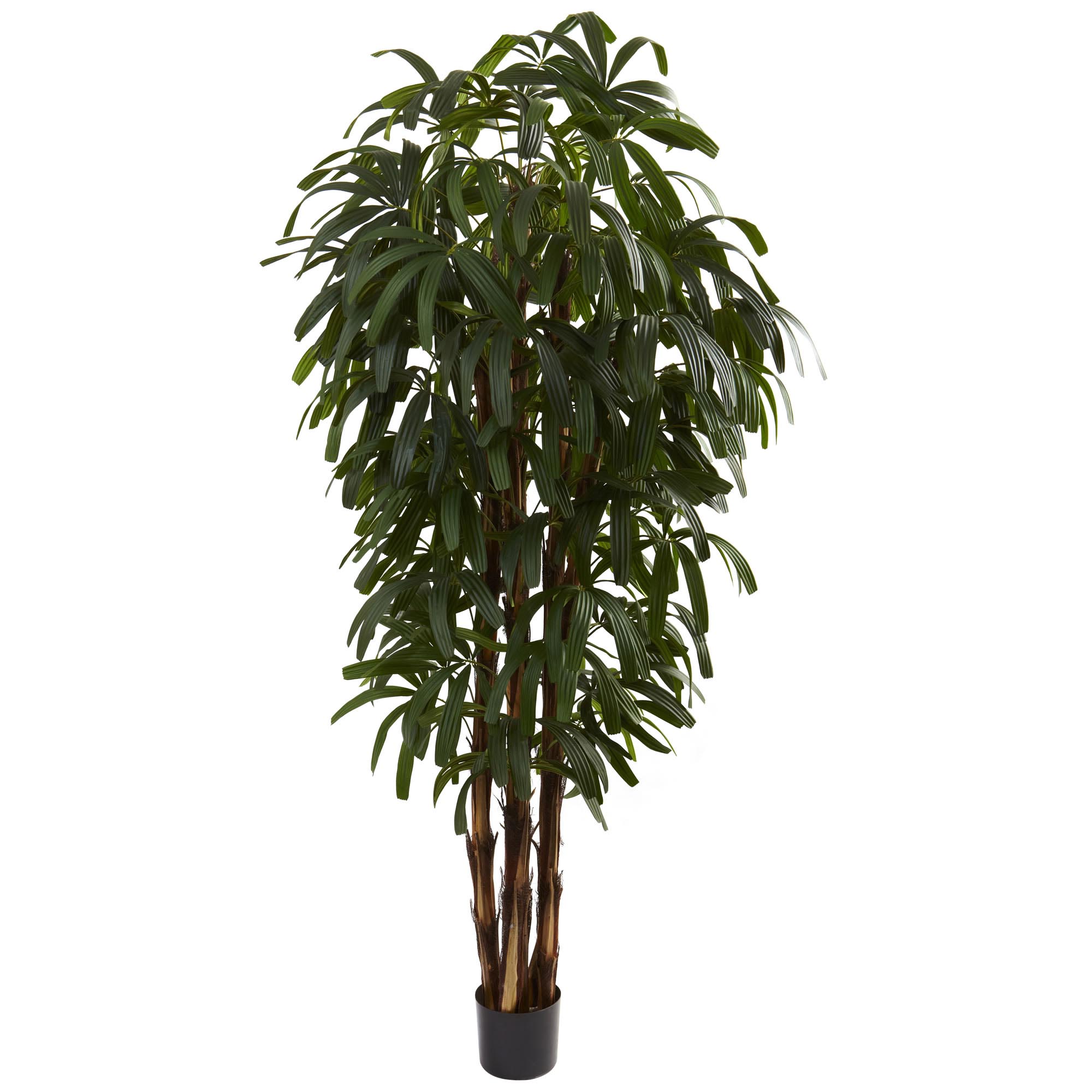 6 Foot Artificial Raphis Palm Tree: Potted