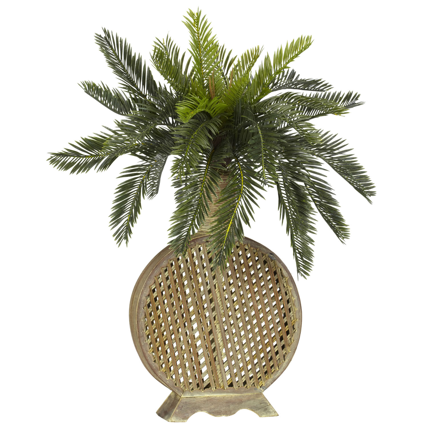 25 Inch Cycas Palms In Decorative Vase