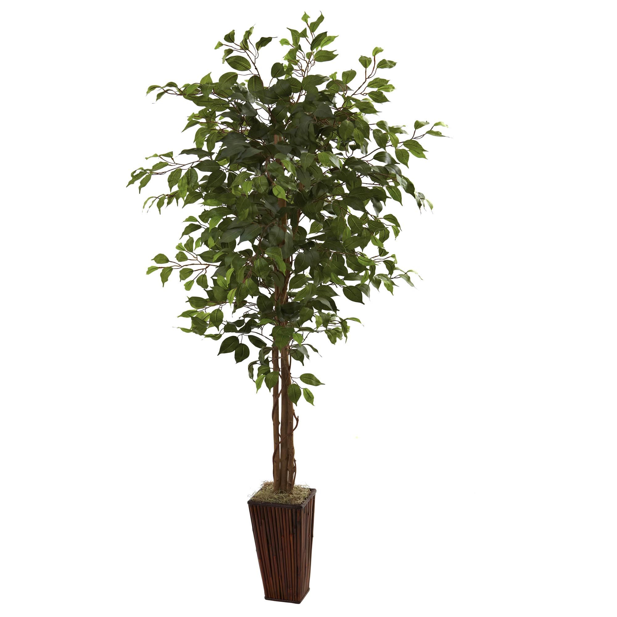 6 Foot Artificial Ficus Tree In Bamboo Planter