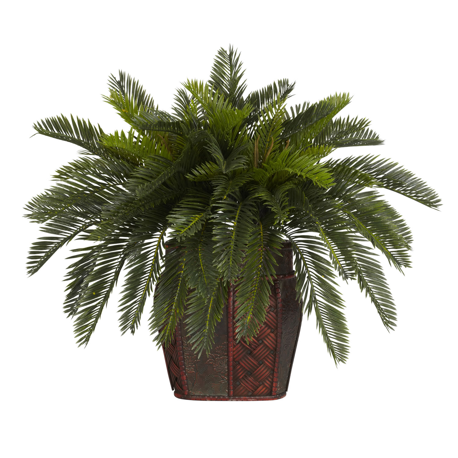 19 Inch Double Cycas Palms In Planter
