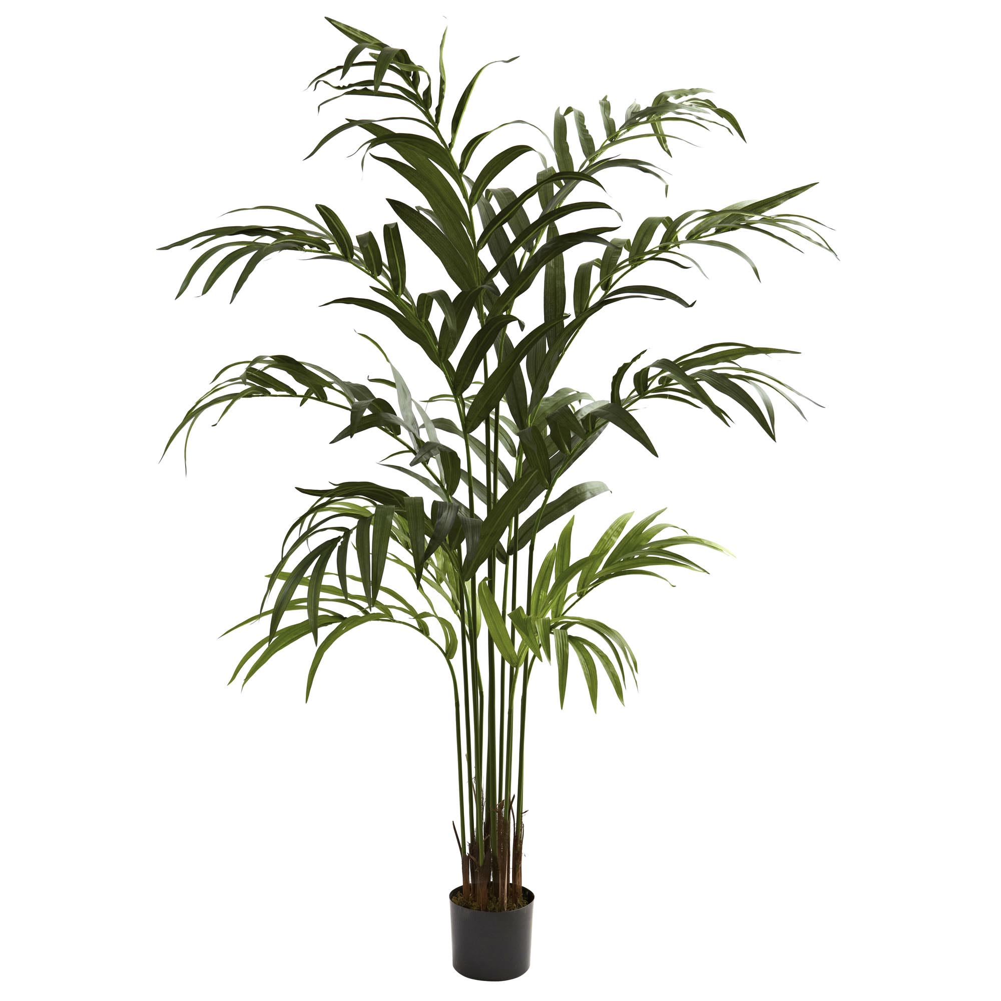 6 Foot Artificial Kentia Palm Tree: Potted