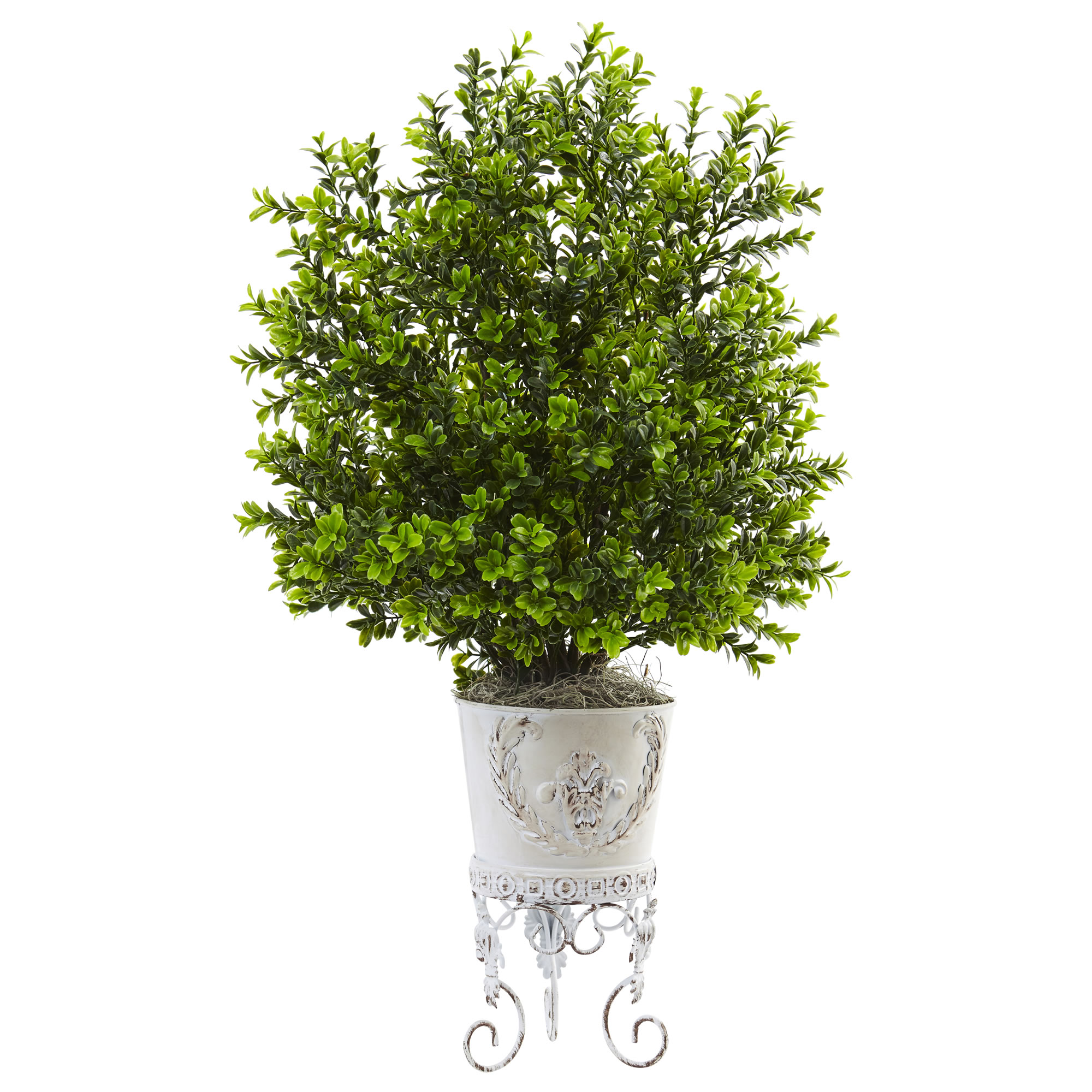 28 Inch Boxwood Bush In Metal Planter: Limited Uv  Covered Areas Only