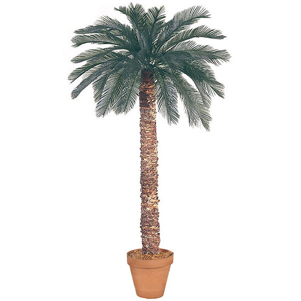 7 Foot Artificial Outdoor Cycas Palm With 36 Fronds And Natural Trunk