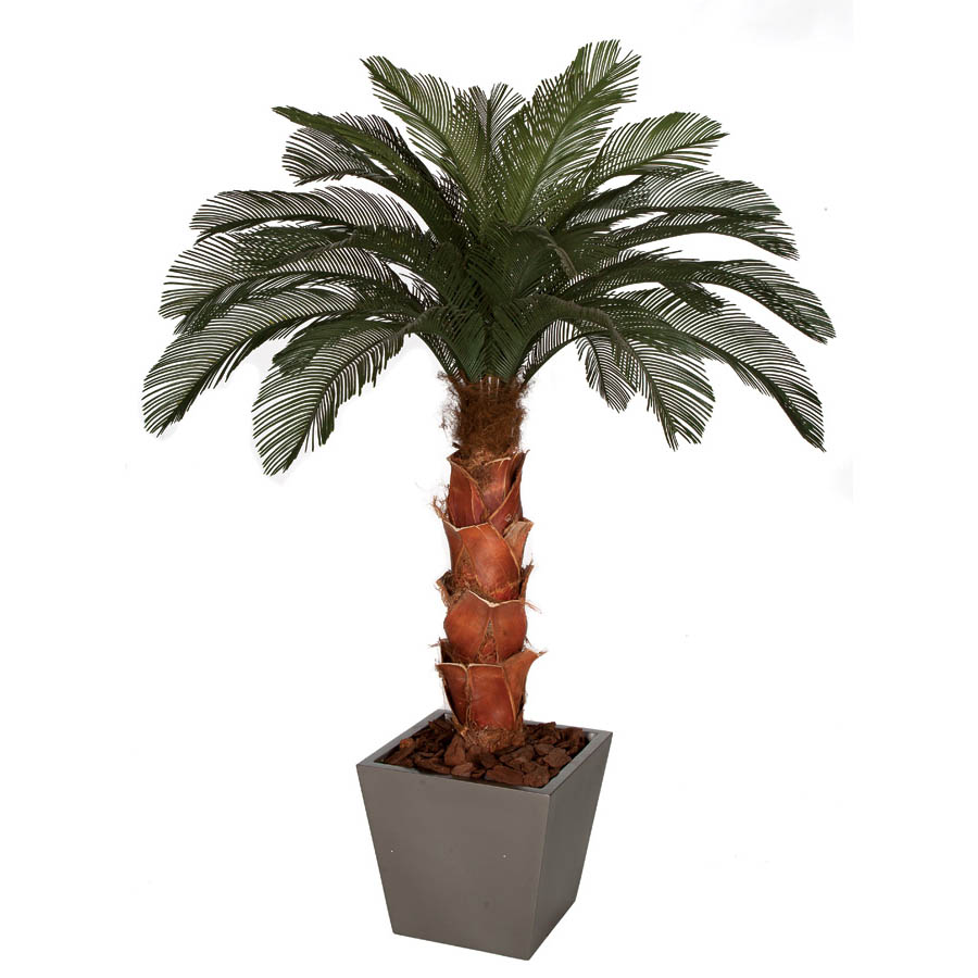 6 Foot Artificial Outdoor Cycas Palm Tree: Natural Trunkand24 Fronds