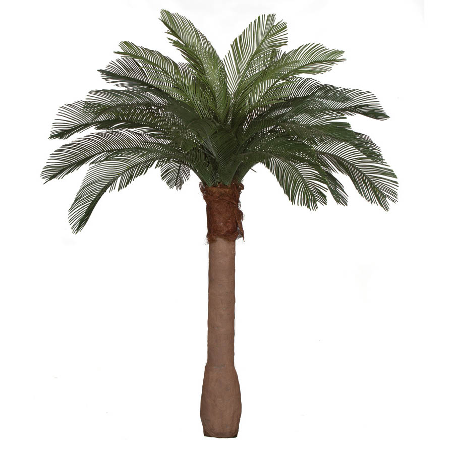 6 Foot Artificial Outdoor Cycas Palm Tree: Smooth Synthetic Trunkand24 Fronds