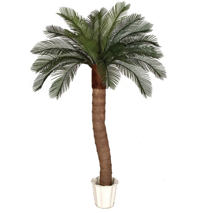 6 Foot Artificial Outdoor Cycas Palm Tree: Ribbed Synthetic Trunkand24 Fronds