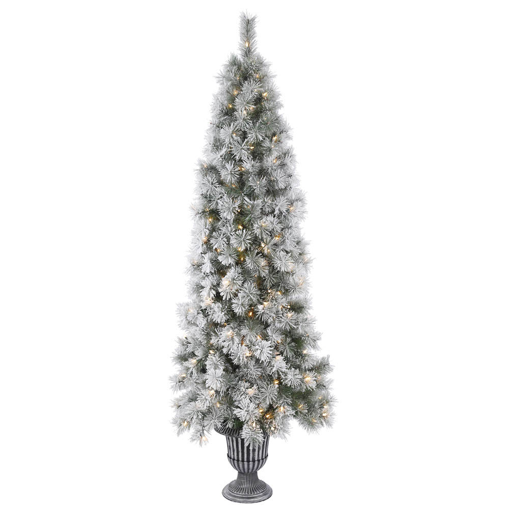Hard Needle Potted Frosted Brewer Pine Tree