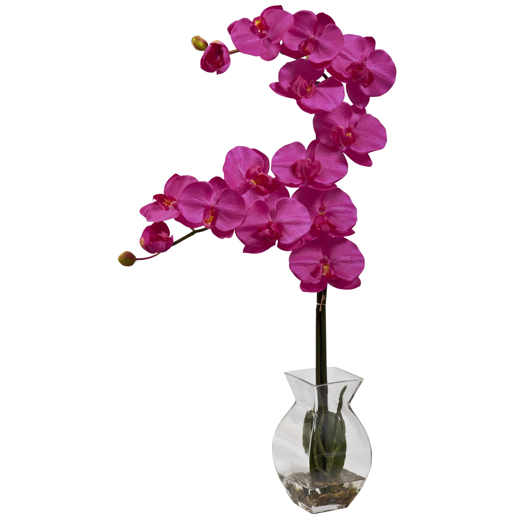 24 Inch Phalaenopsis Orchid Arrangement In Vase