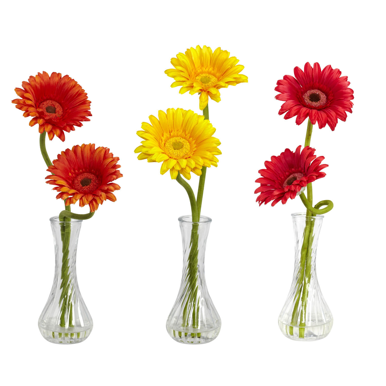 Gerber Daisy With Bud Vase (set Of 3)