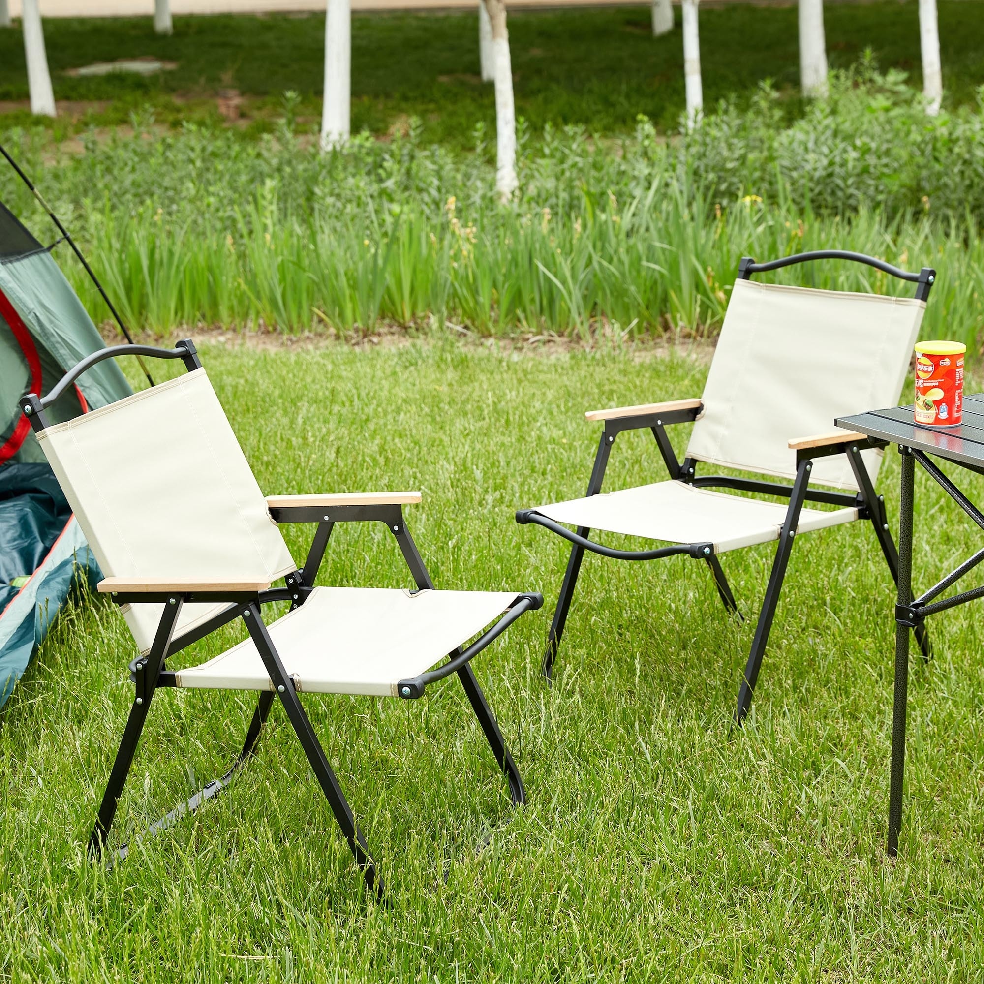 2-piece Outdoor Camping Folding Chair
