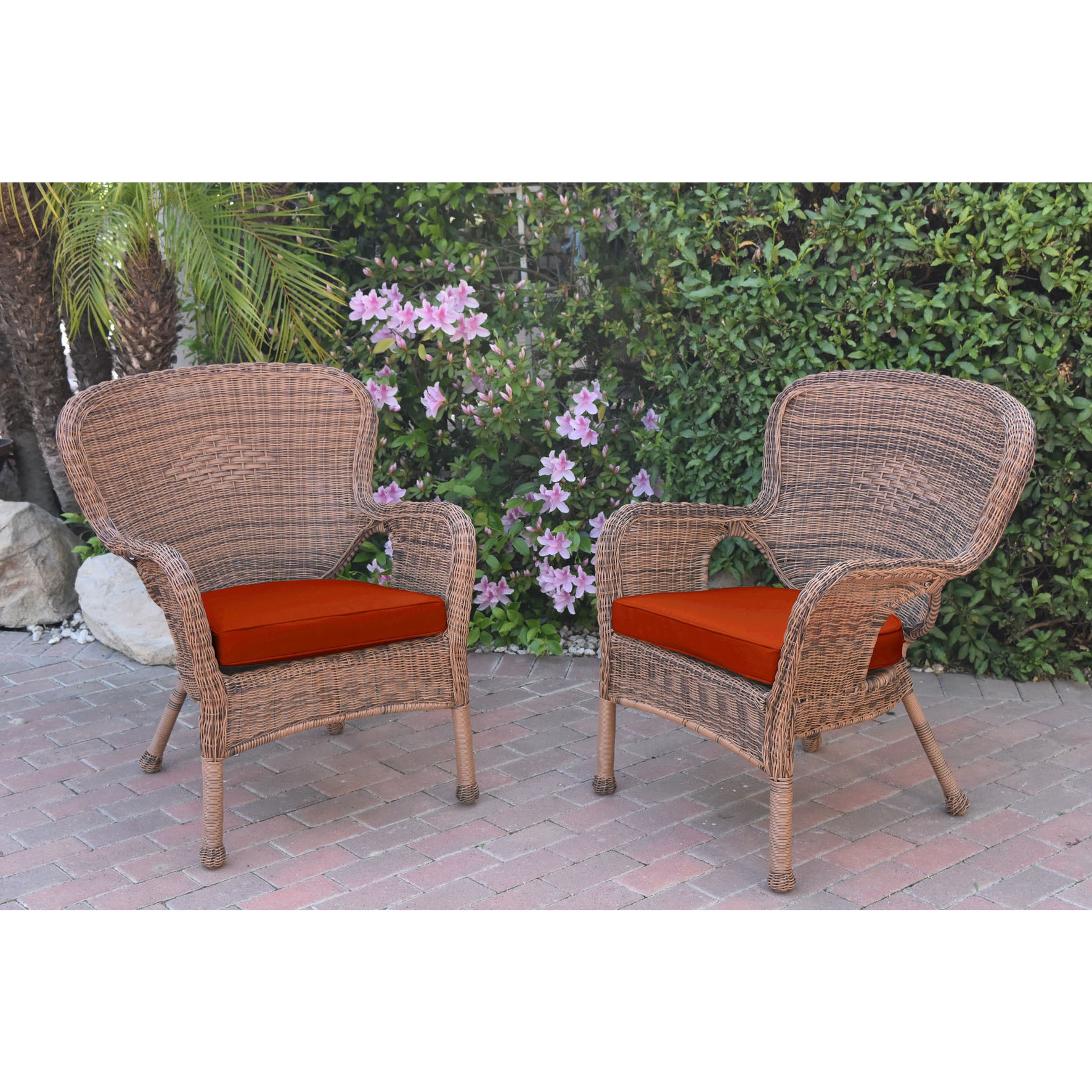 Jeco Windsor Honey Resin Wicker Chairs With Cushions (set Of 2)