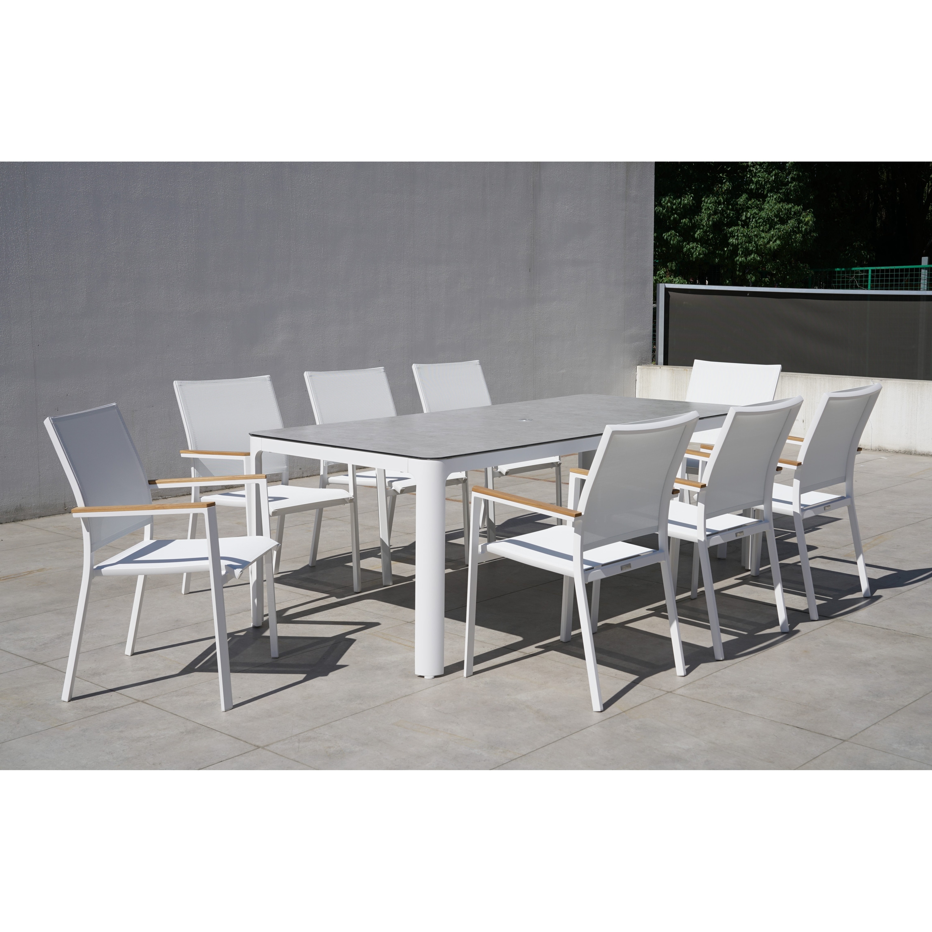 Terraza White 9-piece Aluminum Rectangular Dining Set / White Sling - N/a